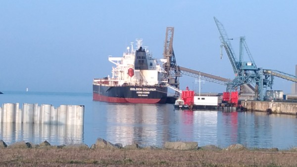 Audit interne ISM/ISPS d’un vraquier de 80 000DWT – MV Golden Endurer – IMO 9481465